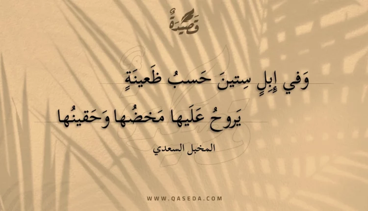 قصيدة وفي إبل ستين حسب طعينة