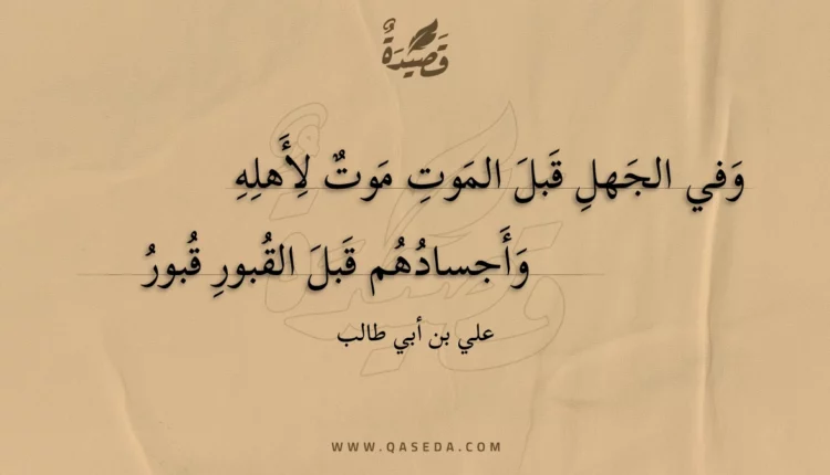 قصيدة وفي الجهل قبل الموت موت لأهله