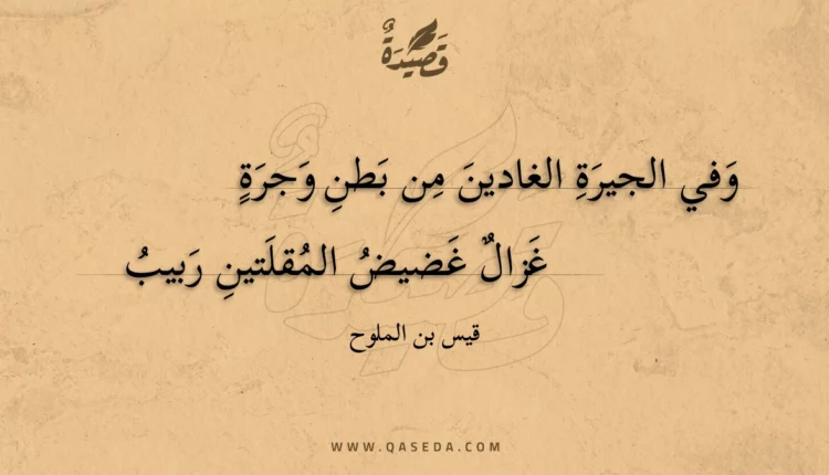 قصيدة وفي الجيرة الغادين من بطن وجرة