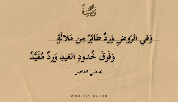 قصيدة وفي الروض ورد طائر من ملالة