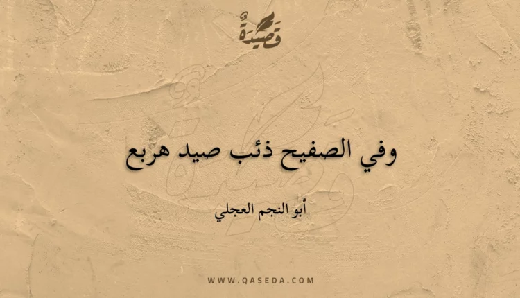 قصيدة وفي الصفيح ذئب صيد هربع