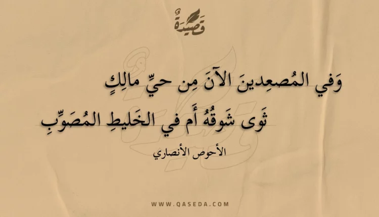 قصيدة وفي المصعدين الآن من حي مالك