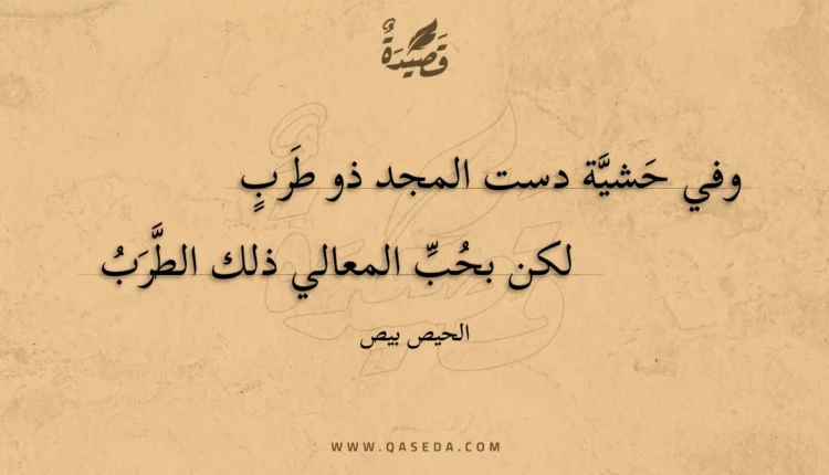 قصيدة وفي حشية دست المجد ذو طرب