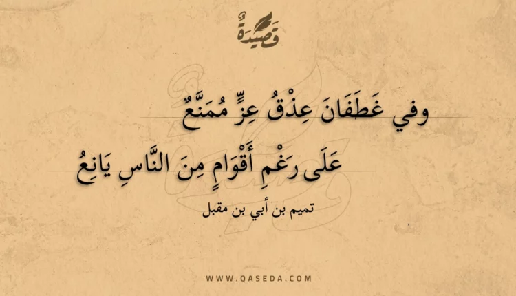 قصيدة وفي غطفان عذق عز ممنع