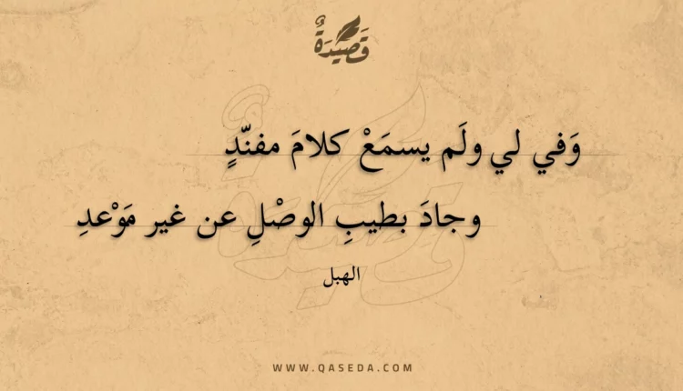 قصيدة وفي لي ولم يسمع كلام مفند