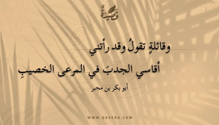 قصيدة وقائلة تقول وقد رأتني