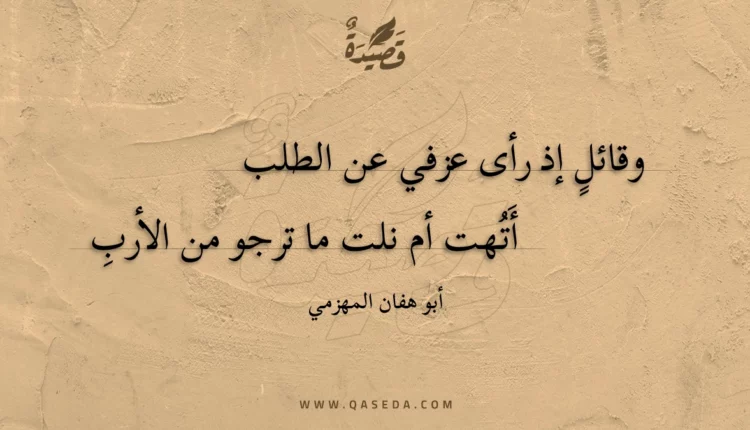 قصيدة وقائلٍ إذ رأى عزفي عن الطلب
