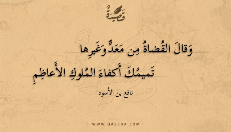 قصيدة وقال القضاة من معد وغيرها