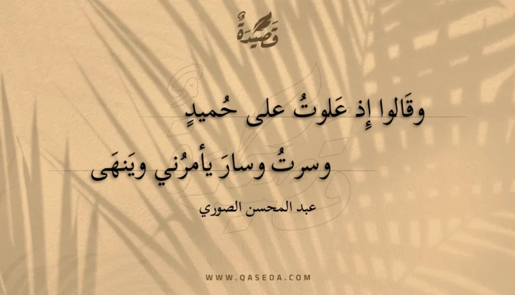 قصيدة وقالوا إذ علوت على حميد