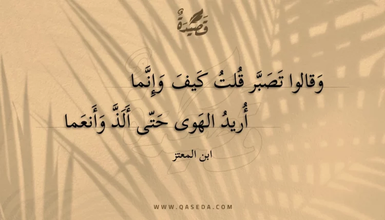 قصيدة وقالوا تصبر قلت كيف وإنما