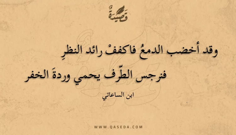 قصيدة وقد أخضب الدمع فاكفف رائد النظر
