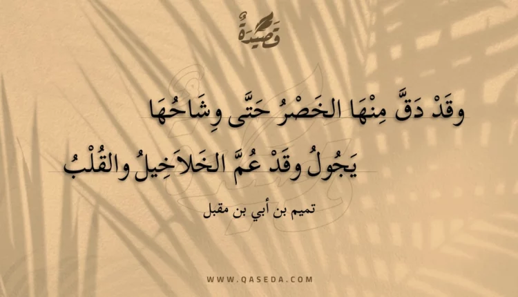 قصيدة وقد دق منها الخصر حتى وشاحها