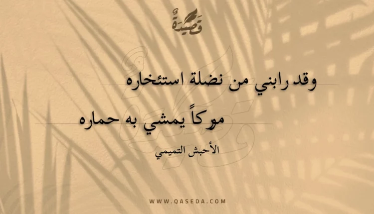 قصيدة وقد رابني من نضلة استئخاره