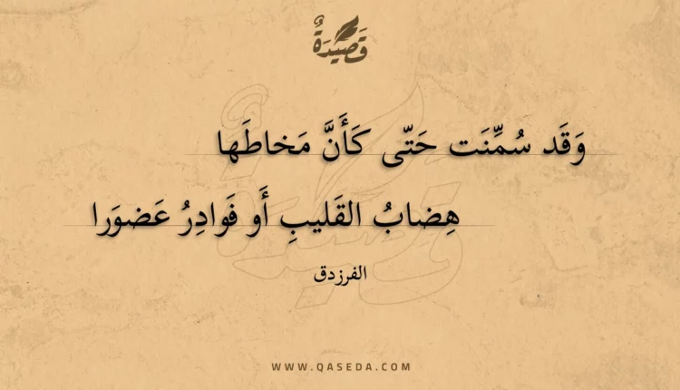 قصيدة وقد سمنت حتى كأن مخاطها
