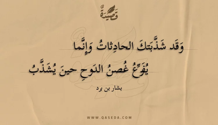 قصيدة وقد شذبتك الحادثات وإنما