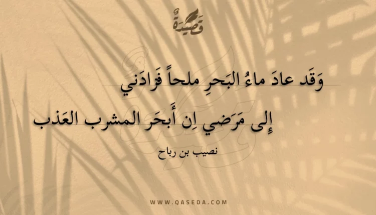 قصيدة وقد عاد ماء البحر ملحا فزادني