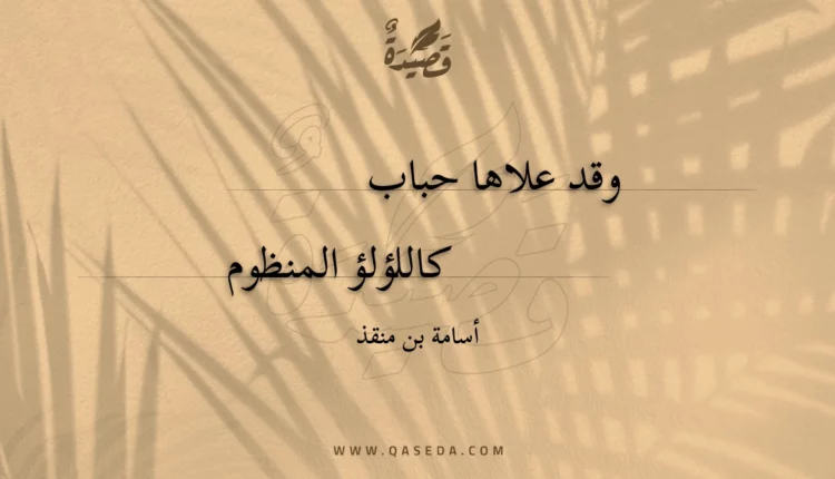 قصيدة وقد علاها حباب