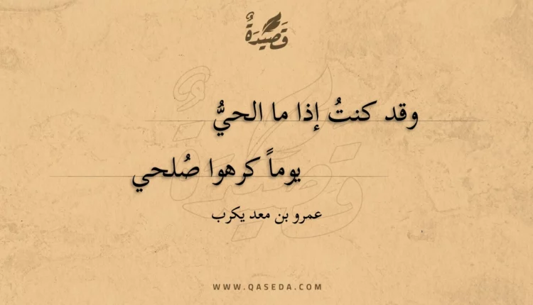 قصيدة وقد كنت إذا ما الحي