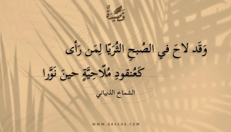 قصيدة وقد لاح في الصبح الثريا لمن رأى