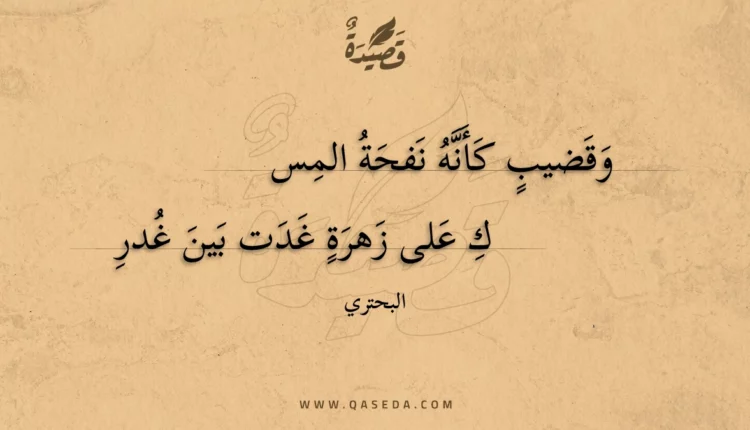 قصيدة وقضيب كأنه نفحة المسك