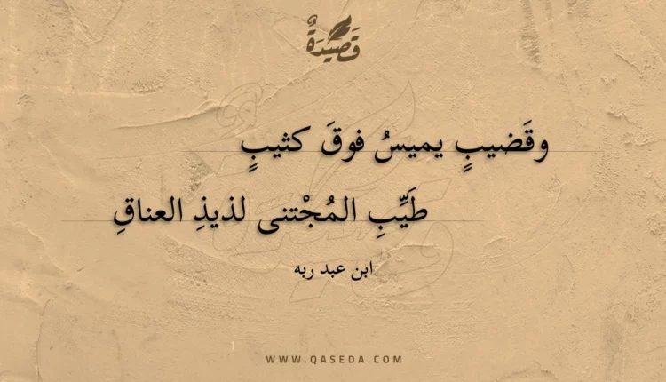 قصيدة وقضيب يميس فوق كثيب