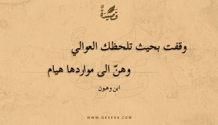 قصيدة وقفت بحيث تلحظك العوالي
