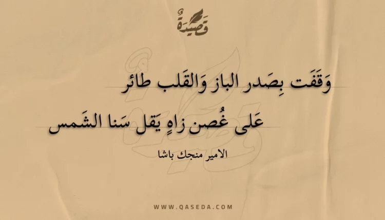 قصيدة وقفت بصدر الباز والقلب طائر