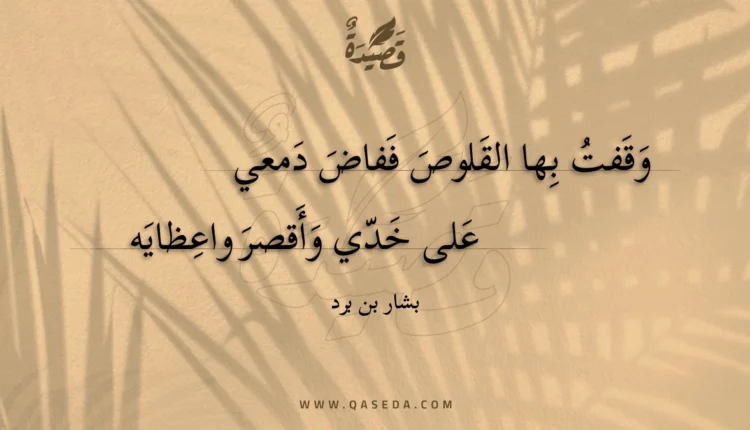قصيدة وقفت بها القلوص ففاض دمعي