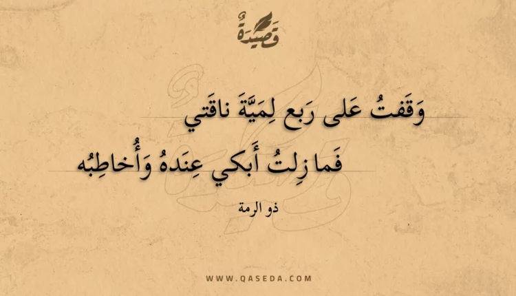 قصيدة وقفت على ربع لمية ناقتي