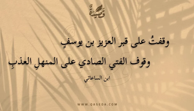 قصيدة وقفت على قبر العزيز بن يوسف