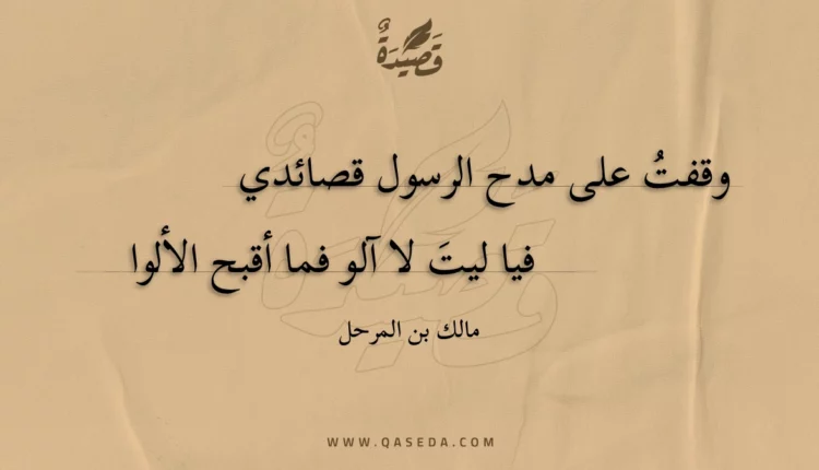 قصيدة وقفت على مدح الرسول قصائدي