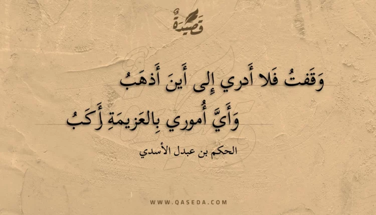قصيدة وقفت فلا أدري إلى أين أذهب