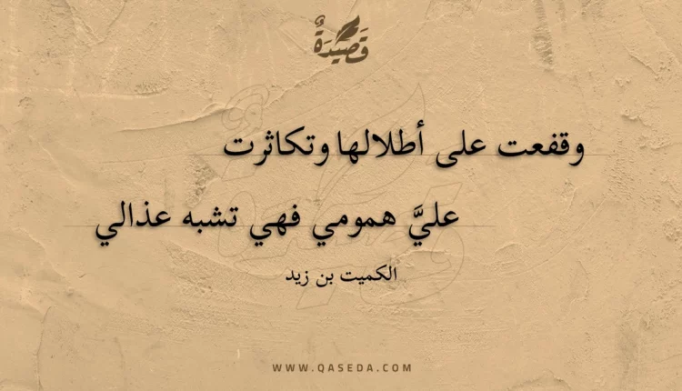 قصيدة وقفعت على أطلالها وتكاثرت