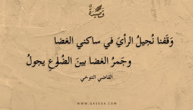 قصيدة وقفنا نجيل الرأي في ساكني الغضا