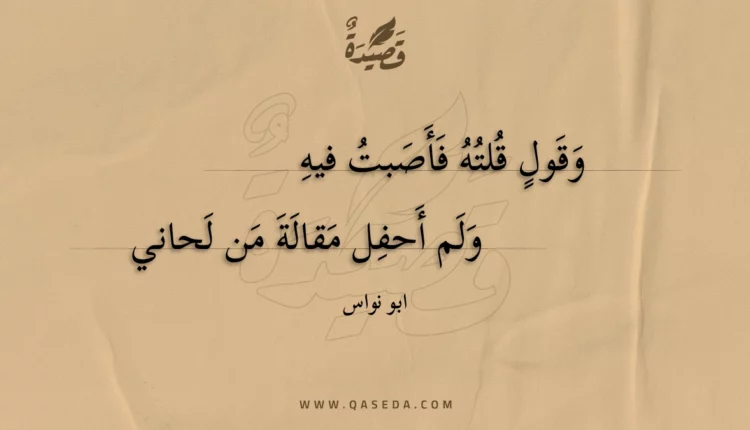 قصيدة وقول قلته فأصبت فيه