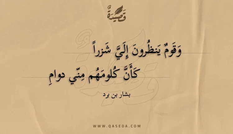 قصيدة وقوم ينظرون إلي شزرا
