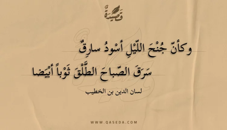 قصيدة وكأن جنح الليل أسود سارق
