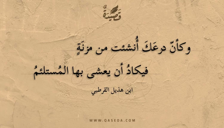 قصيدة وكأن درعك أنشئت من مزنة