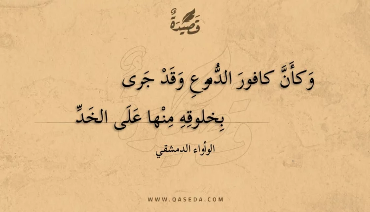 قصيدة وكأن كافور الدموع وقد جرى