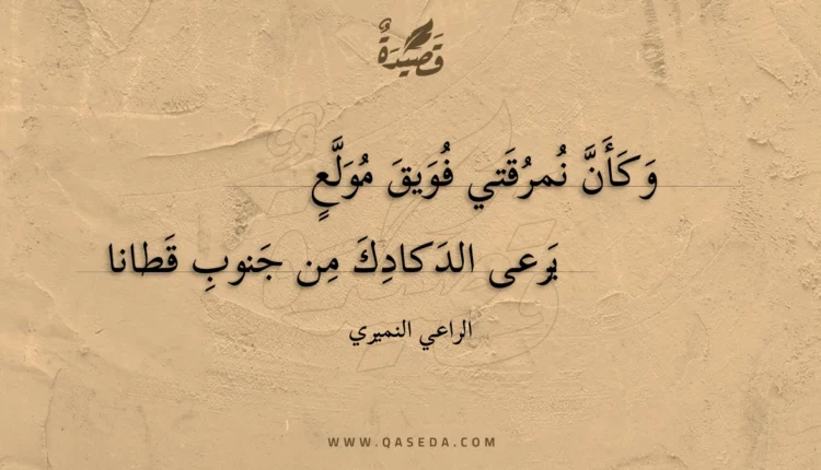 قصيدة وكأن نمرقتي فويق مولع
