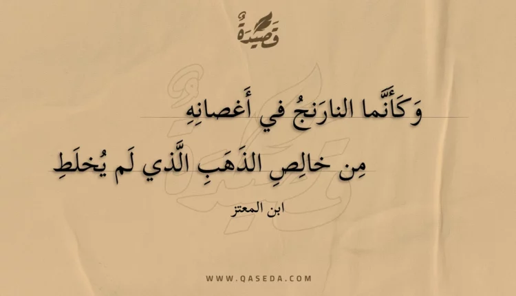 قصيدة وكأنما النارنج في أغصانه