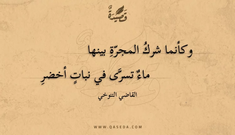 قصيدة وكأنما شرك المجرة بينها