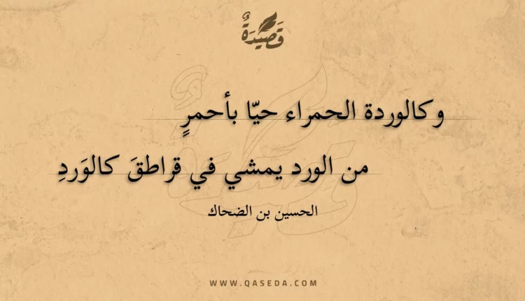 قصيدة وكالوردة الحمراء حيا بأحمرٍ