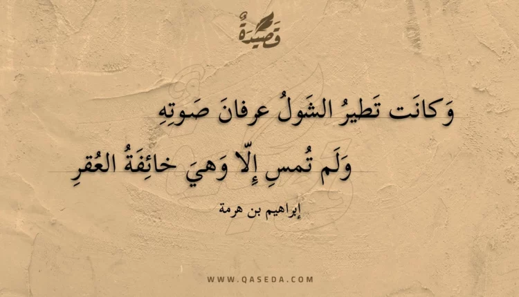 قصيدة وكانت تطير الشول عرفان صوته