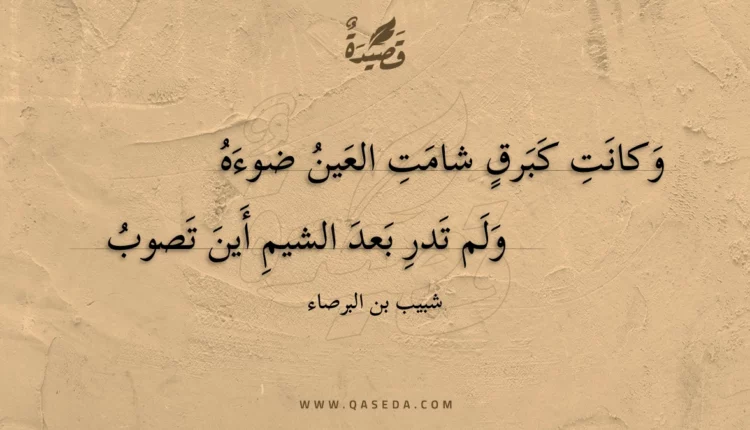 قصيدة وكانت كبرق شامت العين ضوءه