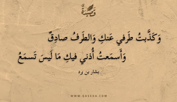 قصيدة وكذبت طرفي عنك والطرف صادق