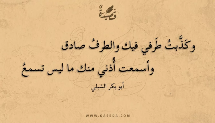 قصيدة وكذبت طرفي فيك والطرف صادق