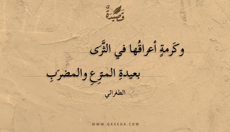 قصيدة وكرمة أعراقها في الثرى