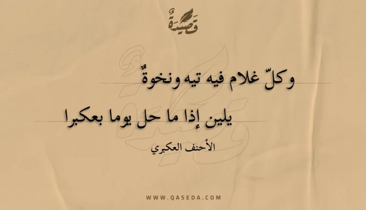 قصيدة وكل غلام فيه تيه ونخوة