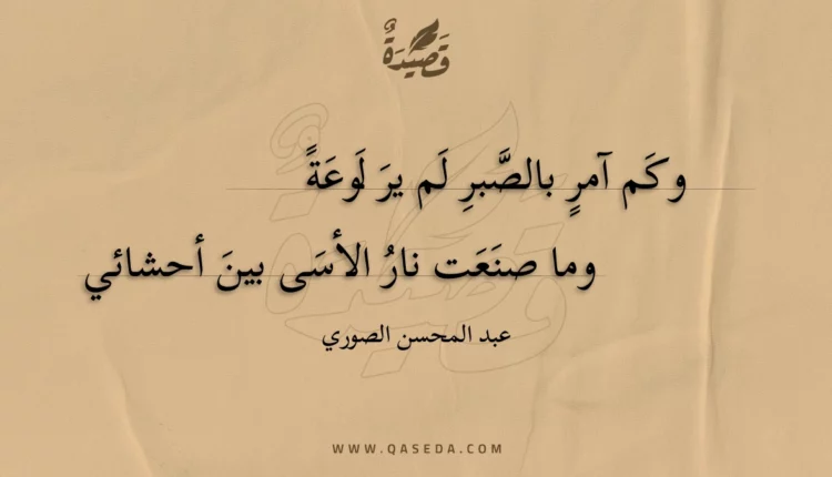 قصيدة وكم آمر بالصبر لم ير لوعة